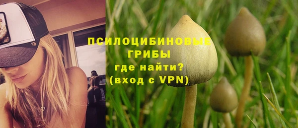 спайс Аркадак