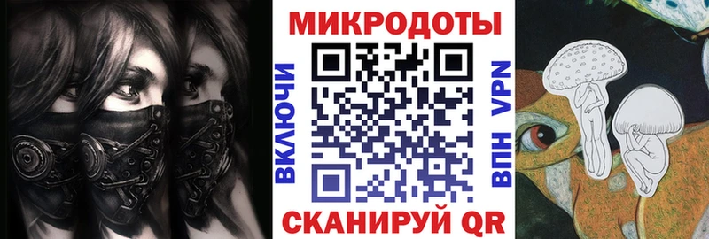 Псилоцибиновые грибы Psilocybine cubensis  Осинники 